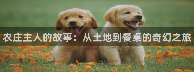 九游会网页版官网下载