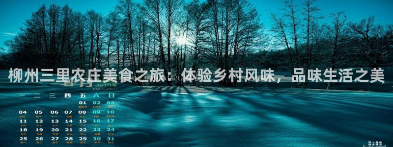 家乡的九曲黄河灯游会