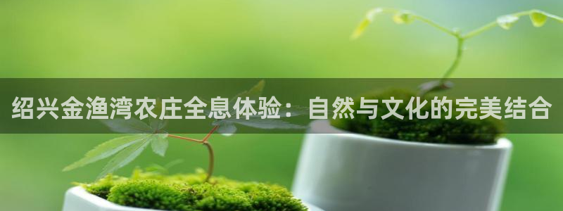 九游会网址多少