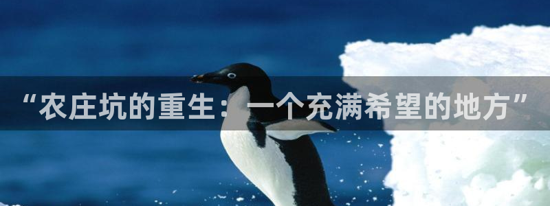 九游会官网下载安装