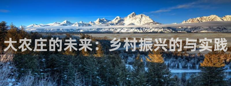 j9九游会国际站