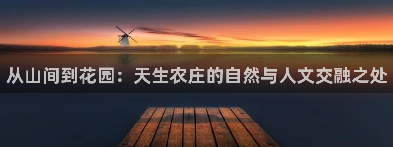 九游vip会过期吗