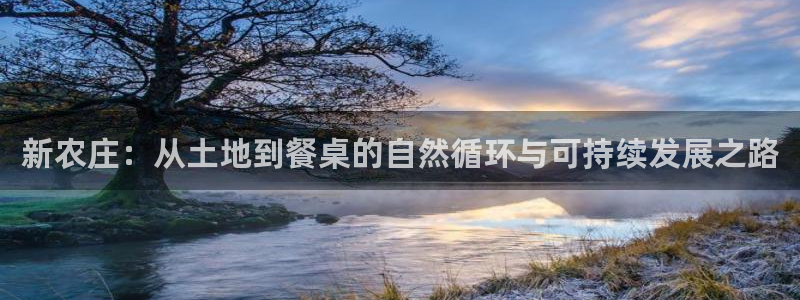 九游会亚洲公司