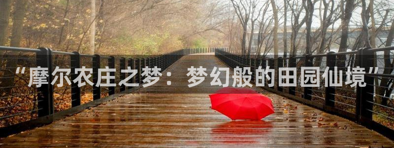 九游游乐会电话