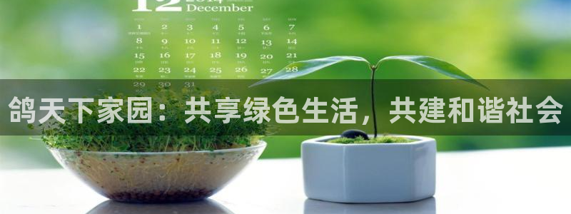 j9九游会官方网站国际