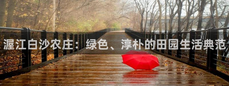 九游会官网在线客服