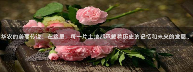 九游会官网平台网址