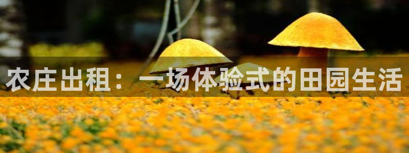 九游会体育开户