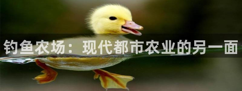 亚博九游会ku游