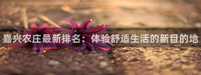 j9九游会网址多少