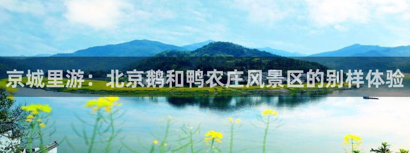 九游九游会官网