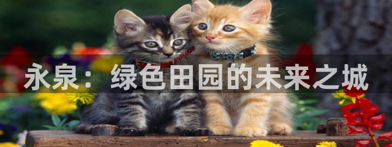 九游会老哥俱乐部网站