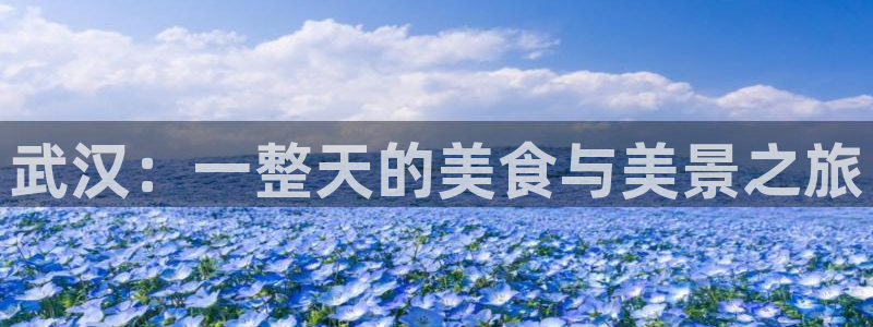 九游会官网怎么进