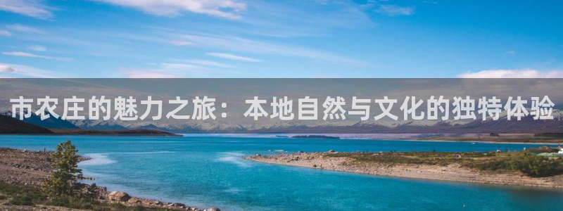 九游会倒闭了吗