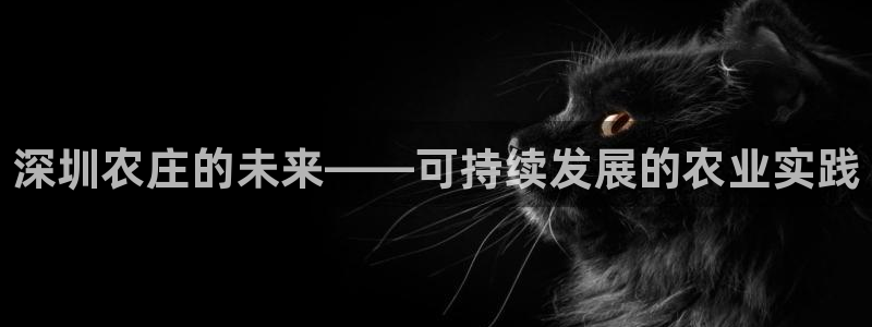 九游会体育赛事