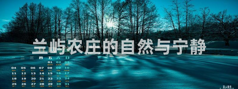 j9九游会手机APP