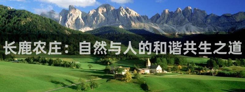 九游会怎么打不开了